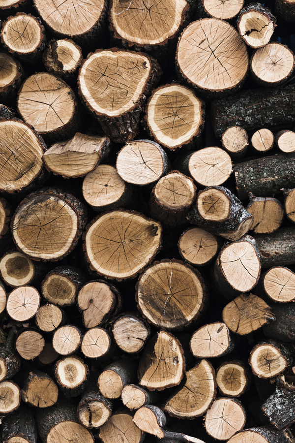 Calore e qualità: scopri il servizio di vendita legna da ardere a Rutigliano